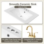 24 Bathroom Vanity with Sink. Bathroom Cabinet with Door Shelf. Deep Drawer. 2-Tier Pull-Out Basket. Solid Wood Frame Bathroom Vanities (Black)