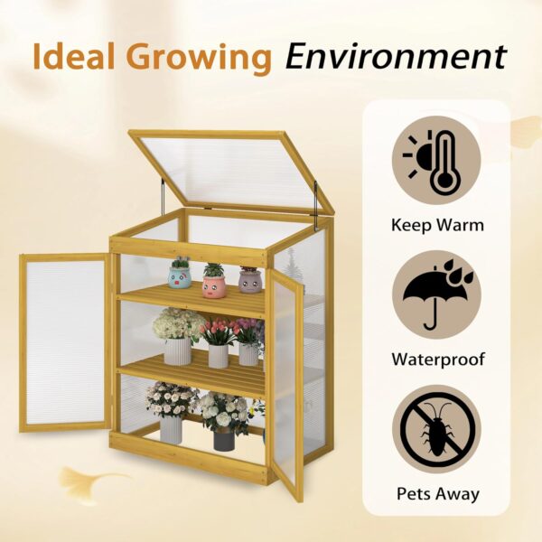 29.53 W Cold Frame Greenhouse Wooden Greenhouse Raised Flower Planter Shelf